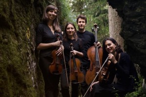 Quartetto Lyskamm12, Foto fornita da Daniela Sartogo